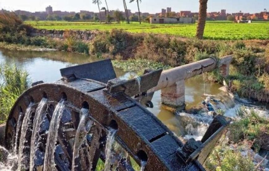 2 Days Camping Trip Private in Fayoum Oasis from Cairo