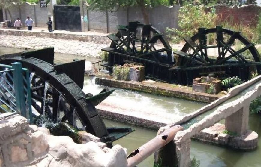 2 Days Camping Trip Private in Fayoum Oasis from Cairo