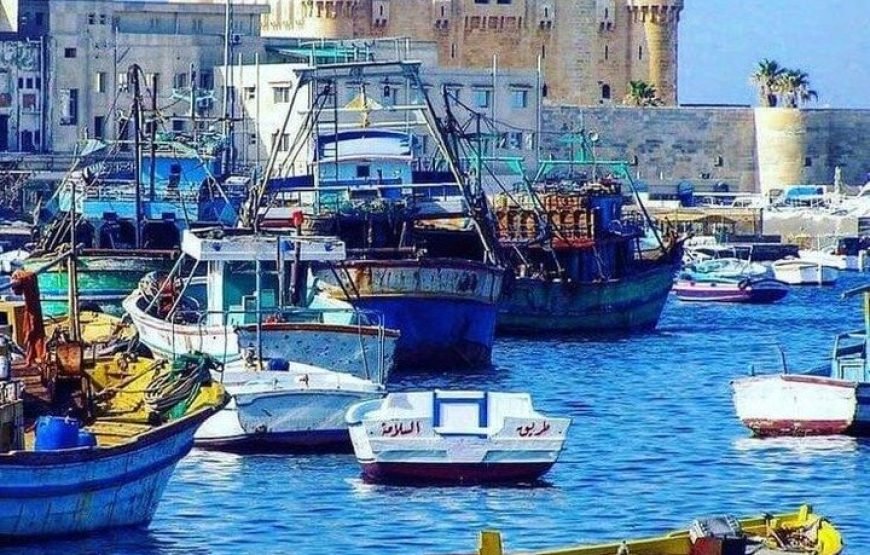 Alexandria trip from Cairo & Alexandria day Tour