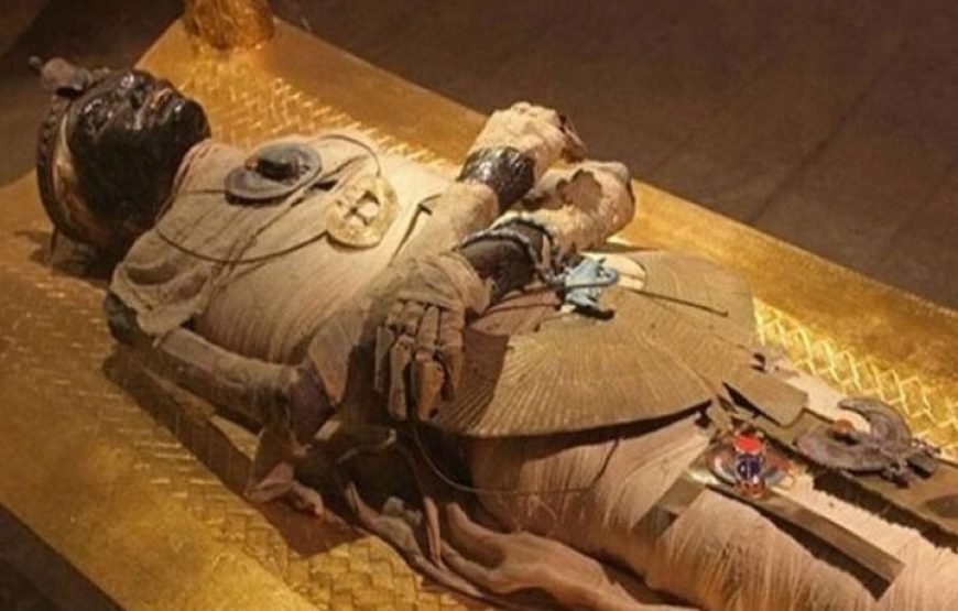 Cairo Tour To The National Museum of Egyptian Civilization, Citadel & Bazaar