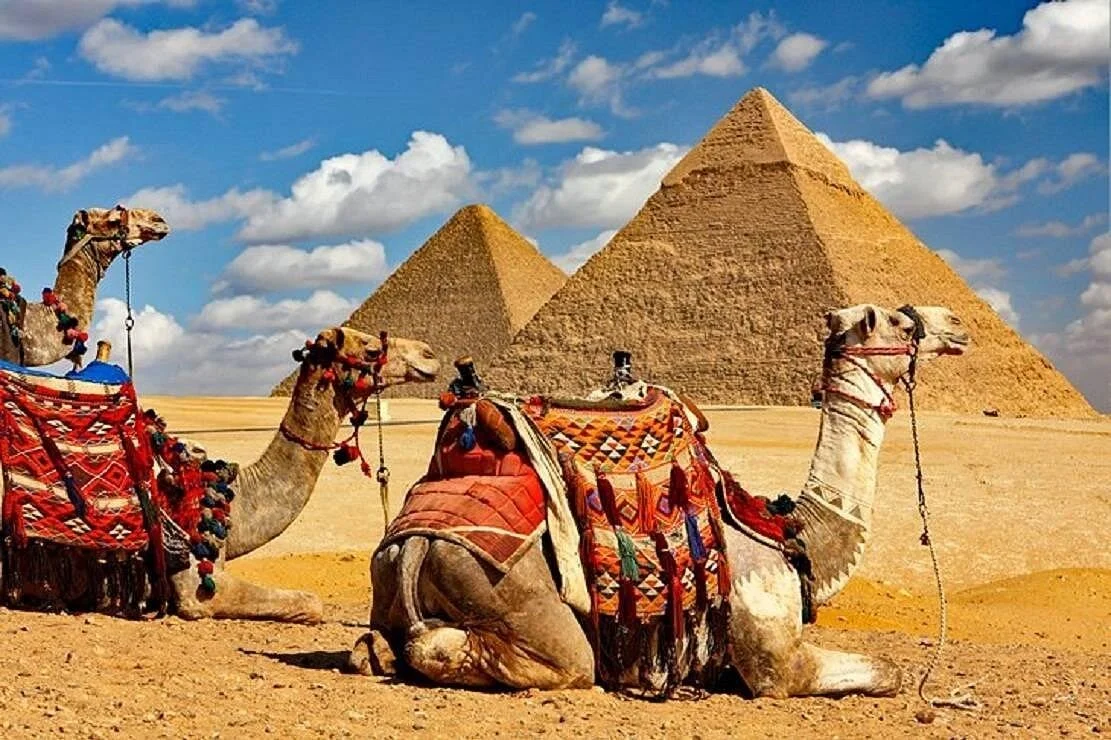 Stop At: The Pyramids Of Giza, Al Haram Str., Giza 3512201 Egypt