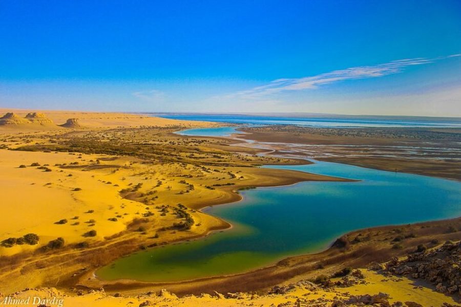 Private Tour to Whales Valley & Wadi El Rayan Waterfalls in El Fayoum from Cairo