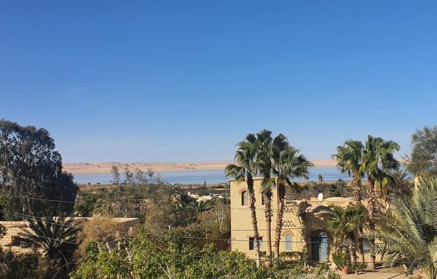 Private tour El Fayoum Oasis and Wadi Rayan waterfall from Cairo