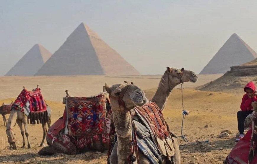 Pyramids, Sphinx & Grand Egyptian Museum , Nile Felucca OR Bazaar