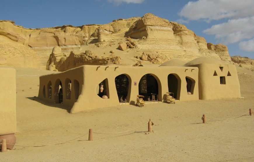 Private Tour to Whales Valley & Wadi El Rayan Waterfalls in El Fayoum from Cairo