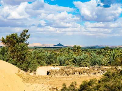 Bahariya-Oasis-1