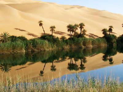 Bahariya-Oasis-2